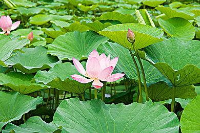 鹰角网络因健康权纠纷被起诉 2月17日二次开庭